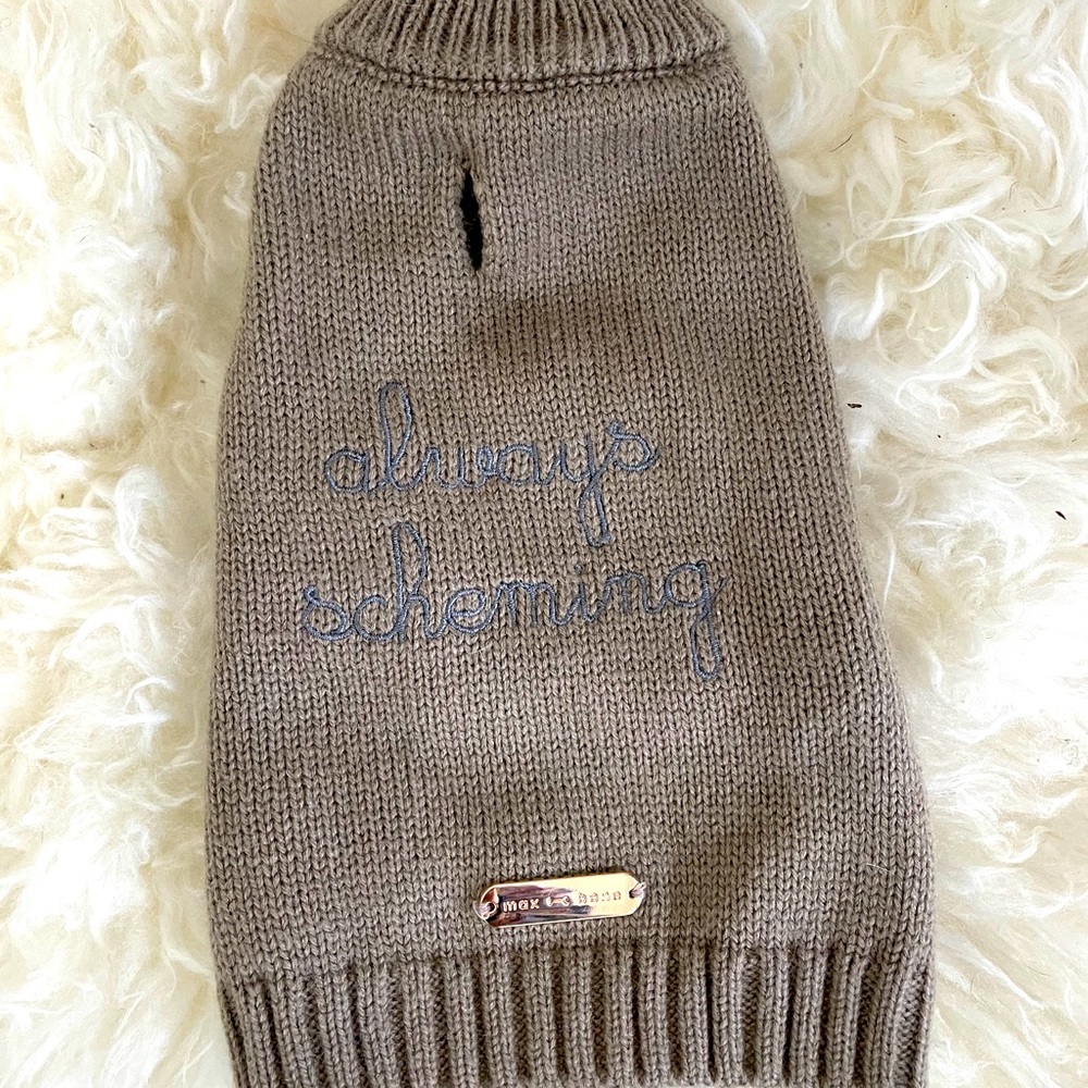 Cute Max & Bone Doggie Sweater!